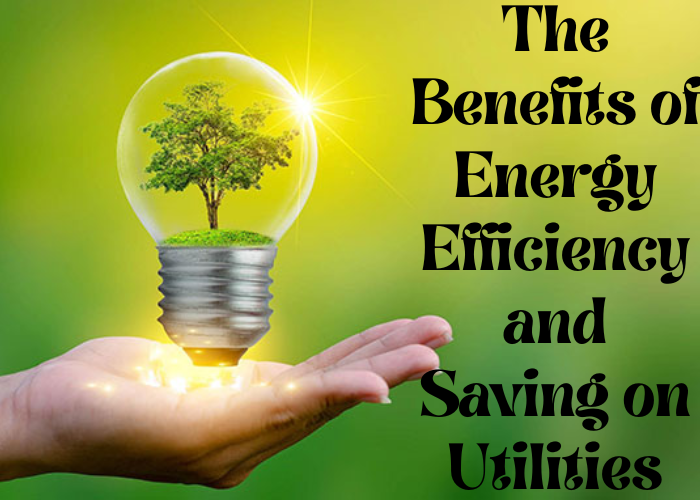 The Benefits of Energy Efficiency and Saving on Utilities.