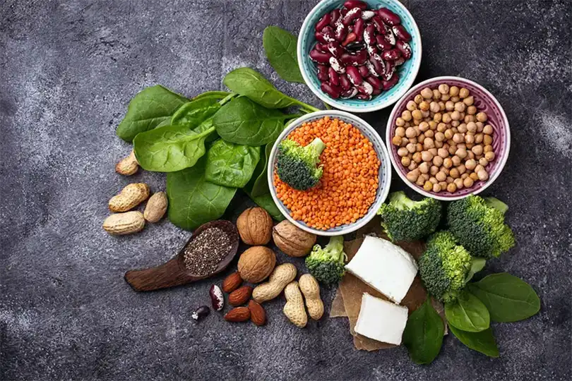 Wellhealthorganic.com:Protein-Rich-Vegetarian-Indian-Food-In-Hindi
